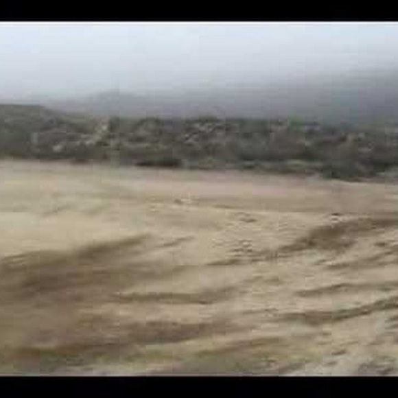 Meet your Posher, Martel - Picture 1 of 1